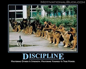 discipline