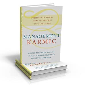 Karmic-Management-Romanian
